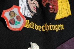 05.03.11: Umzug Vollmaringen