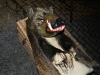 dscn5760_0