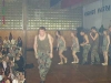 20070127_Bild 047