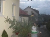 20080106_01_schnapsIMG_0050