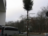 20090129_Berlin_IMG_0489