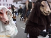 20090201_Salzstetten_DPP_0100