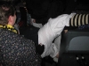 20090214_Berkheim_IMG_0475