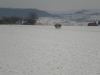 20090215_Poltringen_2_CIMG4811
