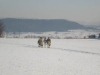 20090215_Poltringen_2_CIMG4813