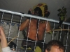 20100129_Ringtreffen_IMG_7476