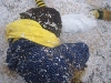 20100206_Altingen_IMG_7659