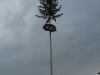 20100430_Maibaum_Mai-Nacht-2010-033